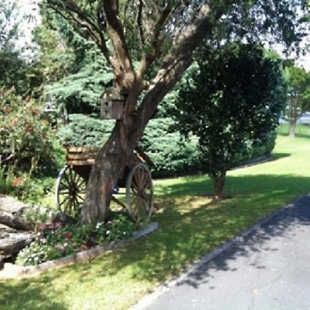 Dargaville Motel 외부 사진