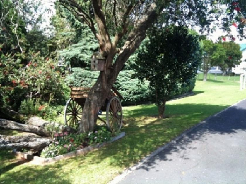 Dargaville Motel 외부 사진